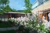 55 Granite Shed Ln photo